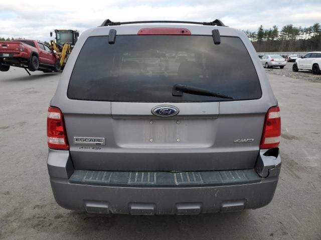 2008 Ford Escape XLT