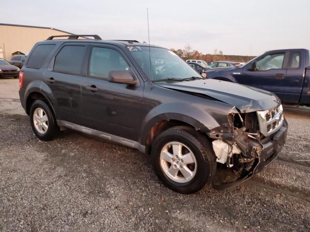 2009 Ford Escape XLT