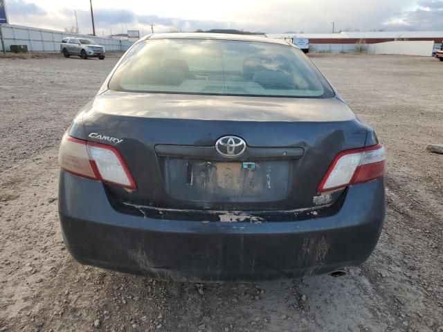 2009 Toyota Camry Hybrid