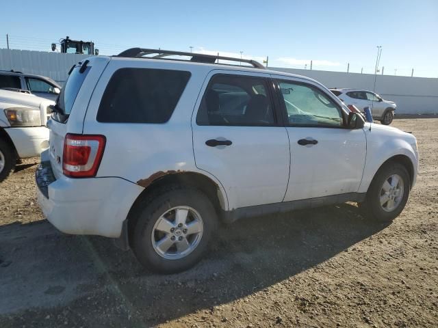 2009 Ford Escape XLT