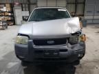 2003 Ford Escape XLT