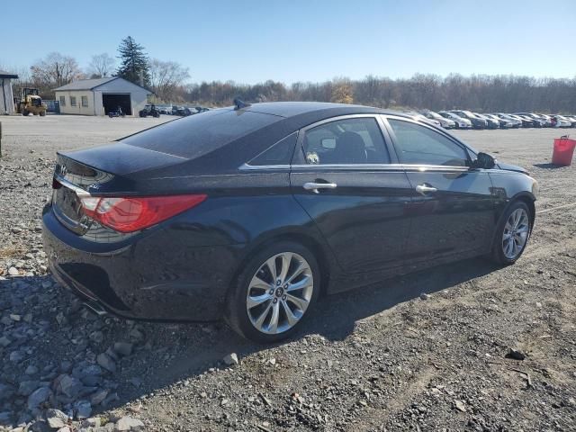 2011 Hyundai Sonata SE