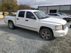 2011 Dodge Dakota Laramie