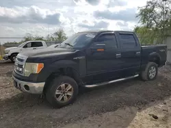 Ford Vehiculos salvage en venta: 2013 Ford F150 Supercrew