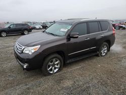 Salvage cars for sale at Helena, MT auction: 2012 Lexus GX 460 Premium