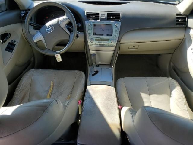 2009 Toyota Camry Hybrid