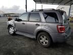 2008 Ford Escape HEV