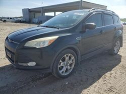 Ford Escape salvage cars for sale: 2013 Ford Escape SE