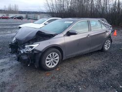 Salvage cars for sale at Arlington, WA auction: 2015 Toyota Camry LE