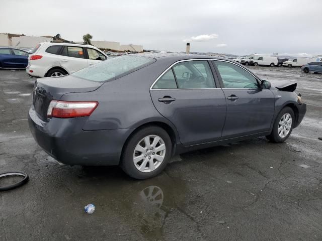 2009 Toyota Camry Hybrid