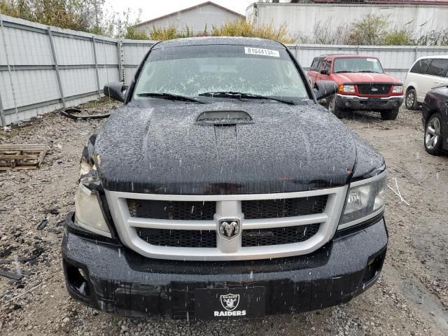 2011 Dodge Dakota SLT