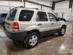 2004 Ford Escape XLT