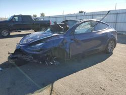 2023 Tesla Model Y en venta en Martinez, CA