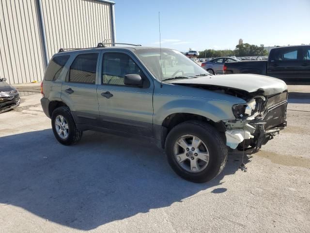 2006 Ford Escape XLT