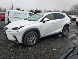 Salvage cars for sale at Windsor, NJ auction: 2021 Lexus NX 300 Base