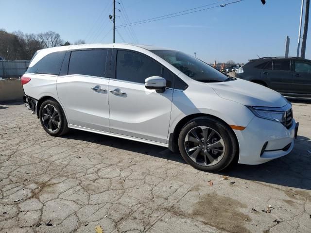 2024 Honda Odyssey Elite