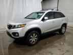 2011 KIA Sorento Base