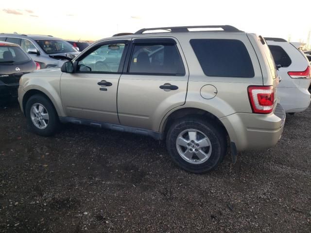 2010 Ford Escape XLT