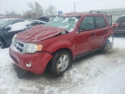 Salvage cars for sale at Chicago Heights, IL auction: 2011 Ford Escape XLT