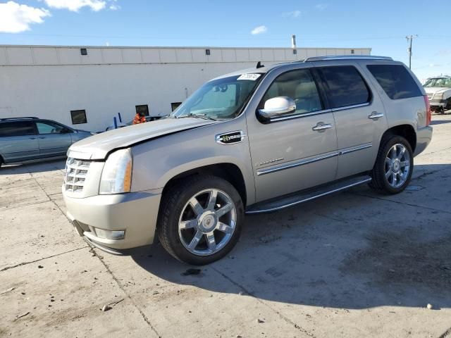 2009 Cadillac Escalade Hybrid