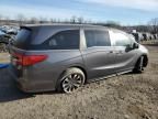 2023 Honda Odyssey EXL