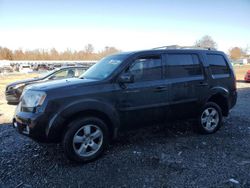 Honda Pilot Vehiculos salvage en venta: 2011 Honda Pilot EX