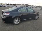 2011 Lexus HS 250H