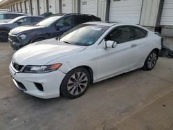 Salvage cars for sale at Louisville, KY auction: 2013 Honda Accord EX