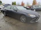 2022 Lexus ES 300H Base