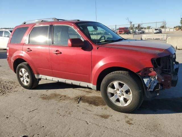 2009 Ford Escape Limited