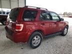 2008 Ford Escape XLT