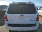 2008 Ford Escape HEV