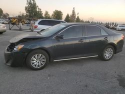 Salvage cars for sale at Rancho Cucamonga, CA auction: 2014 Toyota Camry L