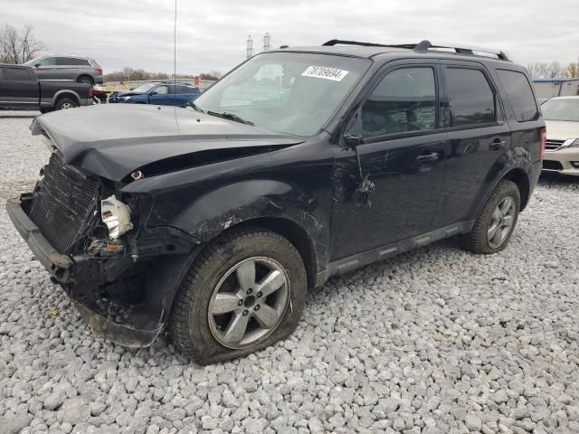 2010 Ford Escape Limited