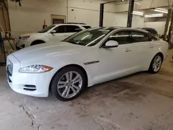 Salvage cars for sale at Ham Lake, MN auction: 2013 Jaguar XJL Portfolio