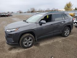 Salvage cars for sale at London, ON auction: 2023 Toyota Rav4 XLE