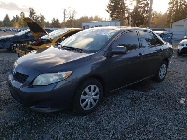 2010 Toyota Corolla Base