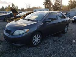 Salvage cars for sale at Graham, WA auction: 2010 Toyota Corolla Base