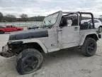 1999 Jeep Wrangler / TJ SE