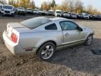 2006 Ford Mustang