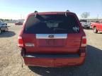 2009 Ford Escape Limited