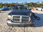 2005 Dodge Dakota SLT