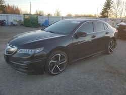 Salvage cars for sale at Bowmanville, ON auction: 2016 Acura TLX Tech