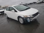 2007 Honda Civic Hybrid