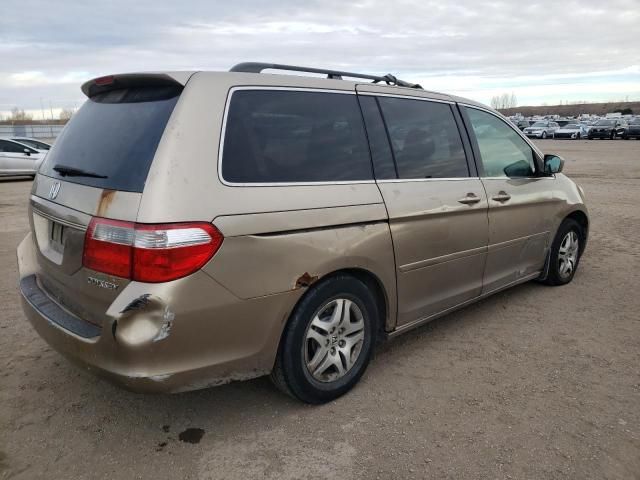 2005 Honda Odyssey EXL