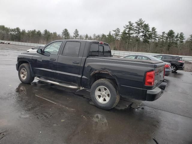 2008 Dodge Dakota Quad SLT