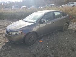 KIA salvage cars for sale: 2010 KIA Forte EX