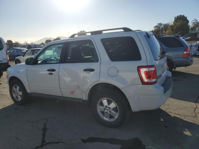 2011 Ford Escape XLT