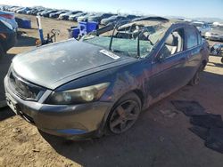 2010 Honda Accord EXL en venta en Brighton, CO