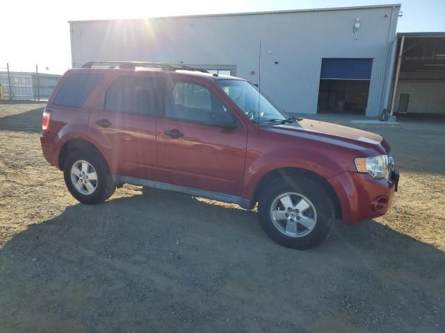 2009 Ford Escape XLT